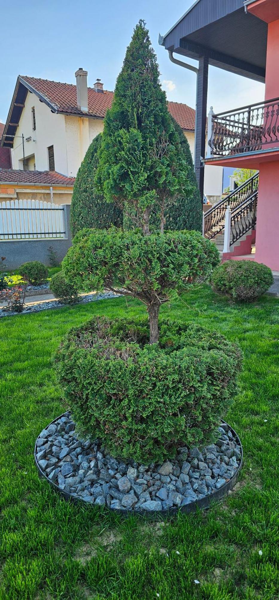 Guest House Lona Golubac Luaran gambar